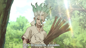 Dr. Stone [BD]